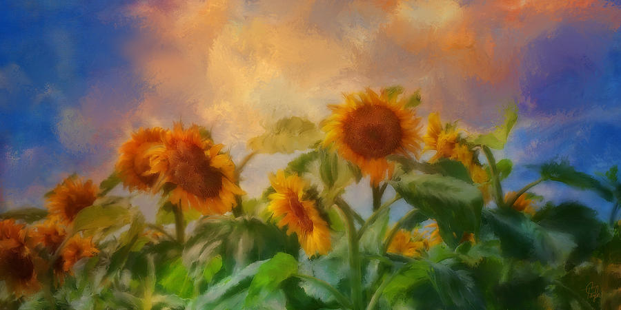 Tuscan Sunflowers Painting by Colleen Taylor