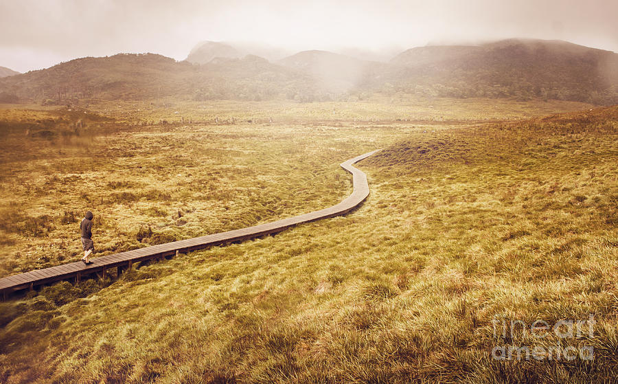 Man on expedition along Cradle Mountain Boardwalk Photograph by Jorgo Photography