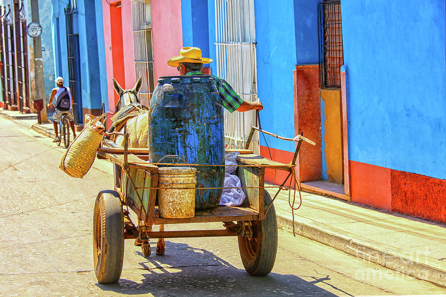 Man on horse drawn cart on the street of Trinidad, Cuba Photograph by Patricia Hofmeester