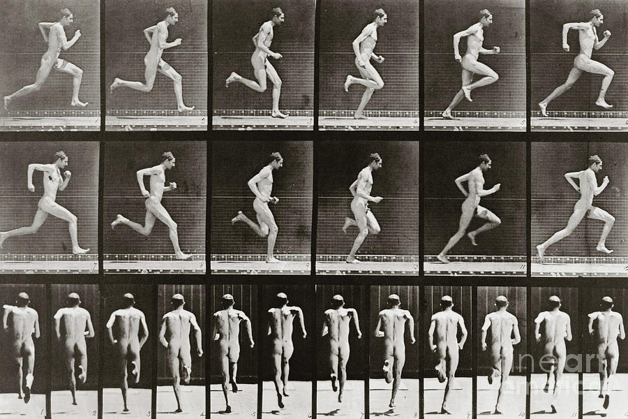 Man running, Plate 62 from Animal Locomotion, 1887 Photograph by Eadweard Muybridge