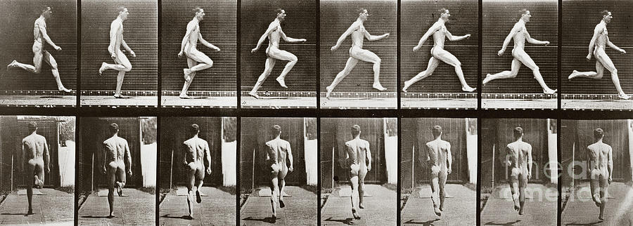 Man running, Plate 65 from Animal Locomotion, 1887 Photograph by Eadweard Muybridge