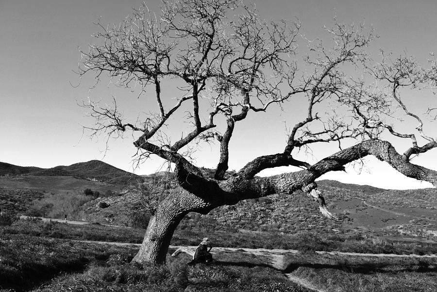 Tree Photograph - Man Thinking Under Tree - Black and White by Matt Quest