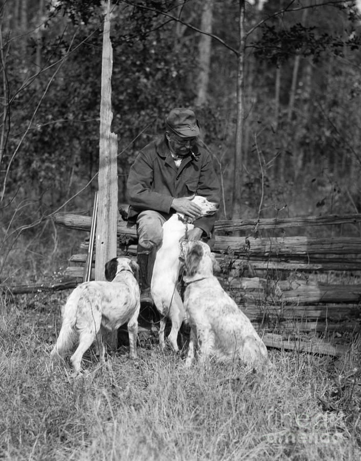 Man With Hunting Dogs, C.1920s Photograph by H. Armstrong Roberts/ClassicStock