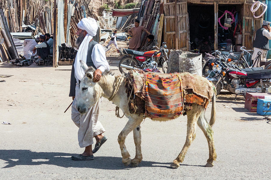 Man With White Donkey Photograph by SR Green