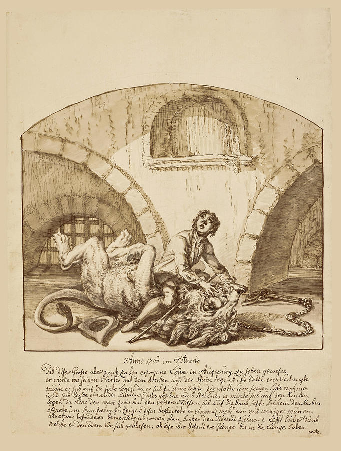 Man wrestling a Lion Drawing by Johann Elias Ridinger