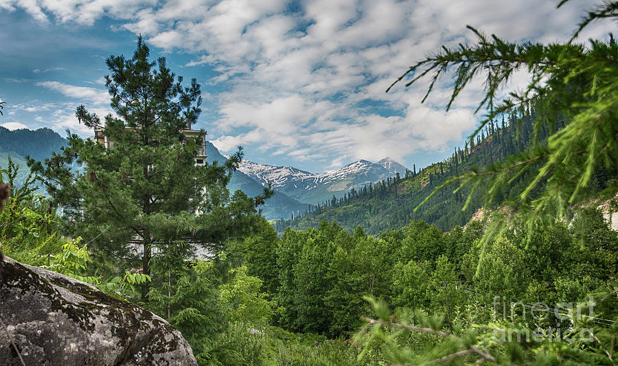 Manali in summer Photograph by Pravine Chester