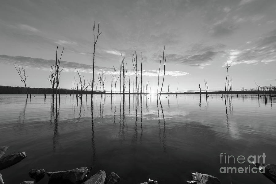 Manasquan Reservoir Sunburst BW  Photograph by Michael Ver Sprill