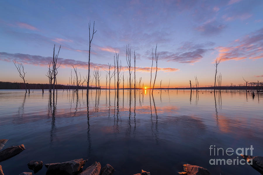 Manasquan Reservoir Sunburst Photograph by Michael Ver Sprill