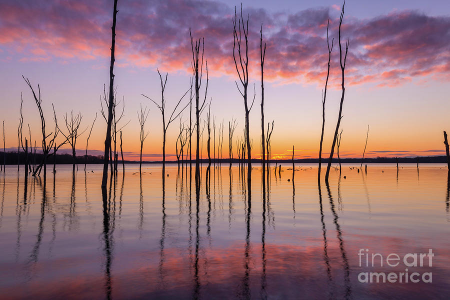 Manasquan Reservoir Sunrise  Photograph by Michael Ver Sprill