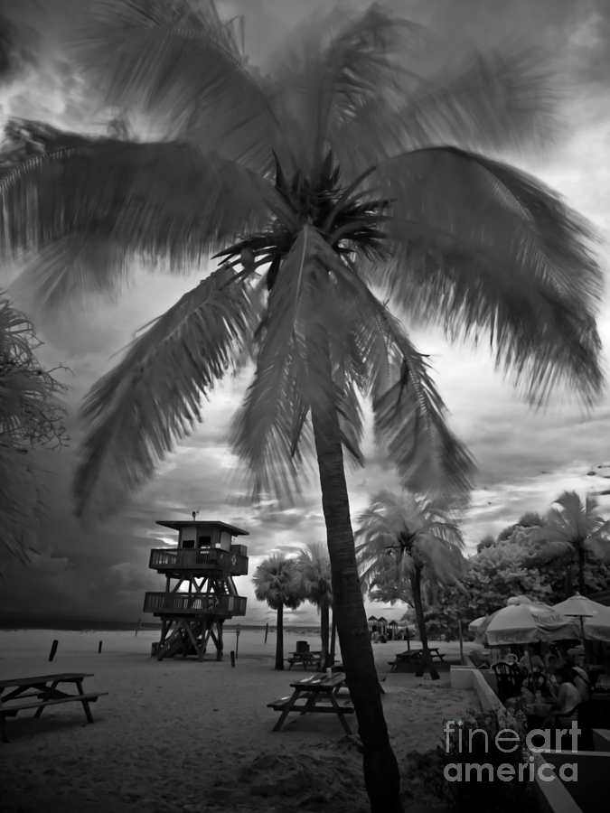 Manatee Beach Cafe Lifeguard Tower Photograph by Rolf Bertram
