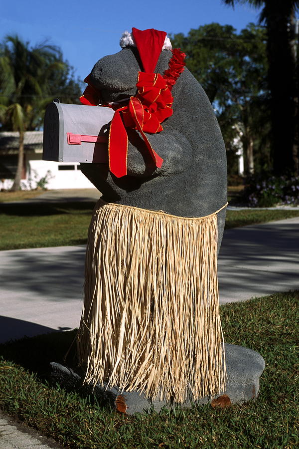 Manatee Mailbox Photograph by Sally Weigand