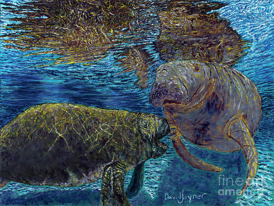 Manatee Motherhood by David Joyner Manatee Motherhood by David Joyner