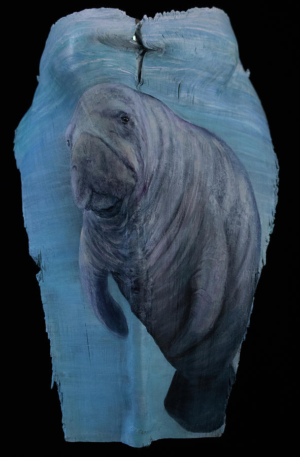 Manatee on Palm Frond Painting by Nancy Lauby