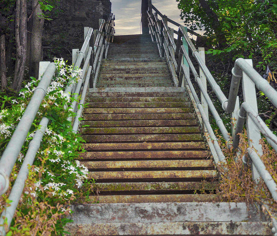 Manayunk - Roxborough Avenue Steps Photograph by Bill Cannon