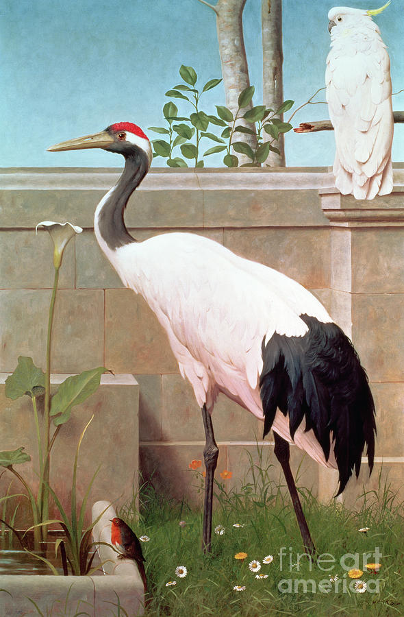 Bird Painting - Manchurian Crane, Cockatoo and Robin by Henry Stacey Marks