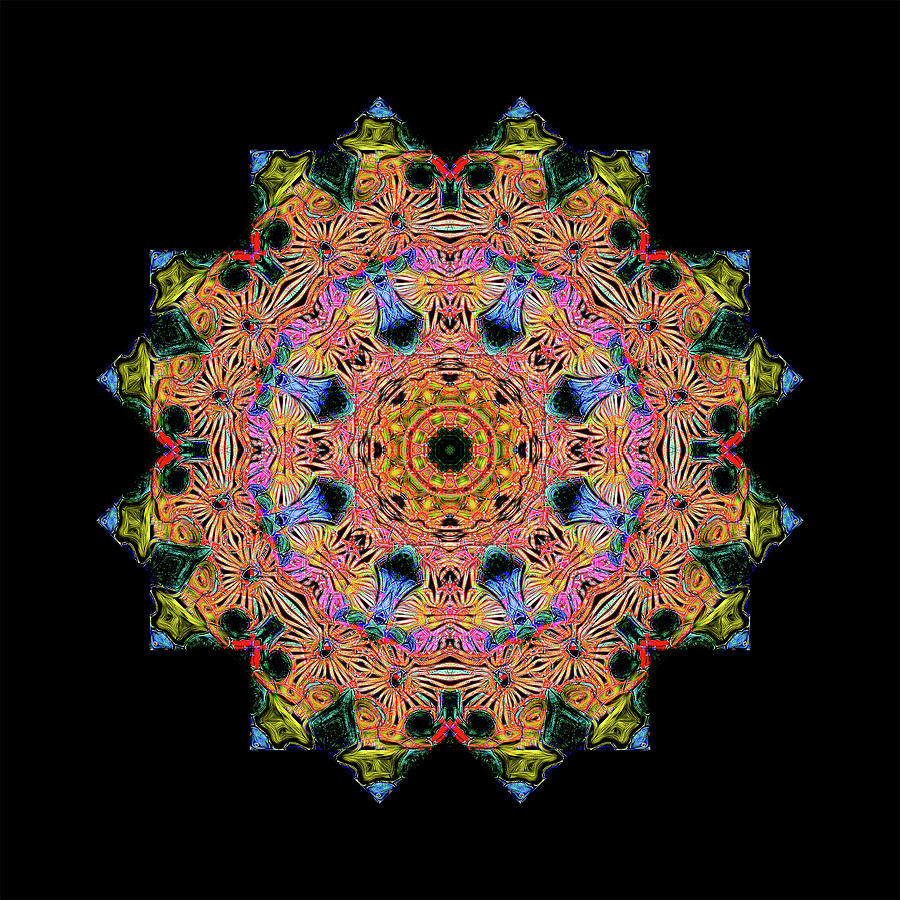 Mandala #3 Photograph by Georgette Grossman