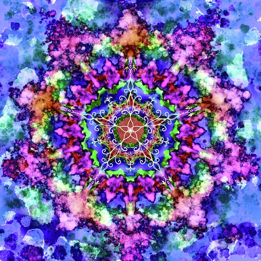 Mandala Art 4 Digital Art by Patricia Lintner