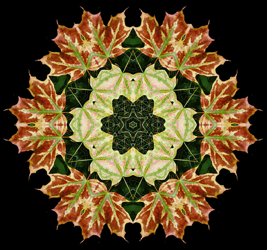 Mandala Autumn Star Photograph by Nancy Griswold