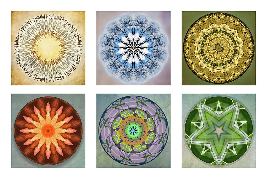 Abstract Photograph - Mandala Collection 1 by Julie Weber