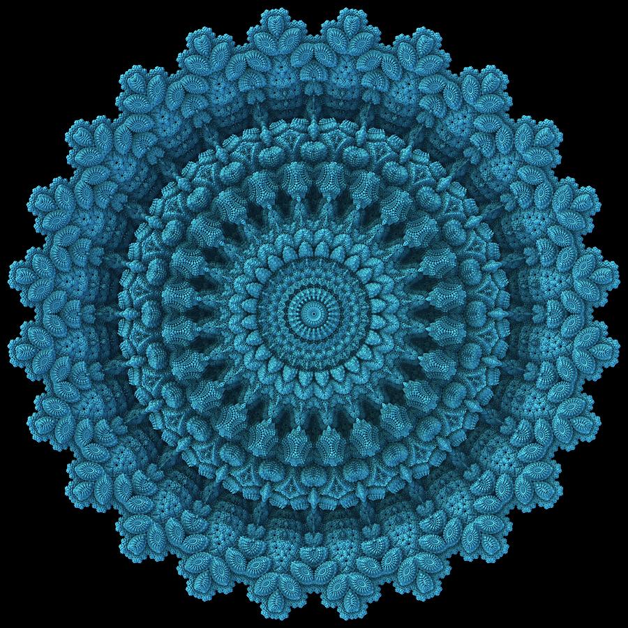Mandala for the Masses Digital Art by Lyle Hatch