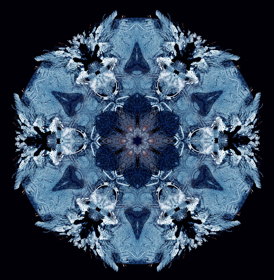 Mandala Ice Photograph by Nancy Griswold