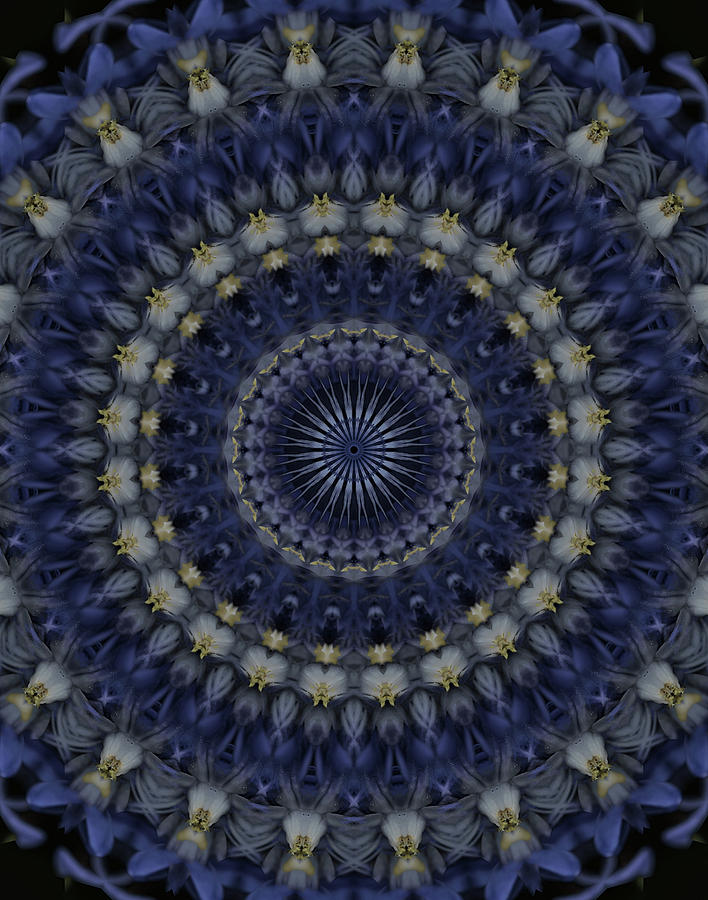 Mandala in blue and grey colors Photograph by Jaroslaw Blaminsky