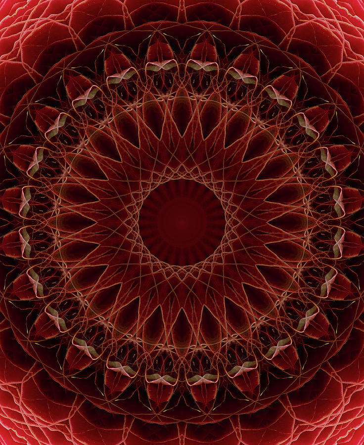 Mandala in brown and red tones Photograph by Jaroslaw Blaminsky