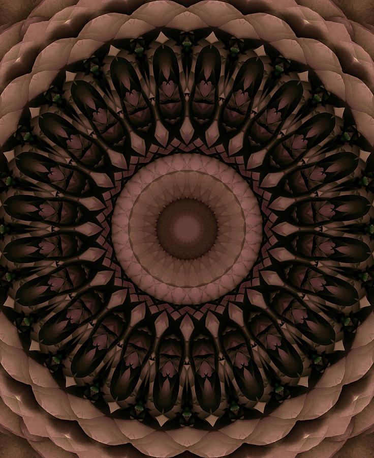 Mandala in dark and light brown colors Photograph by Jaroslaw Blaminsky
