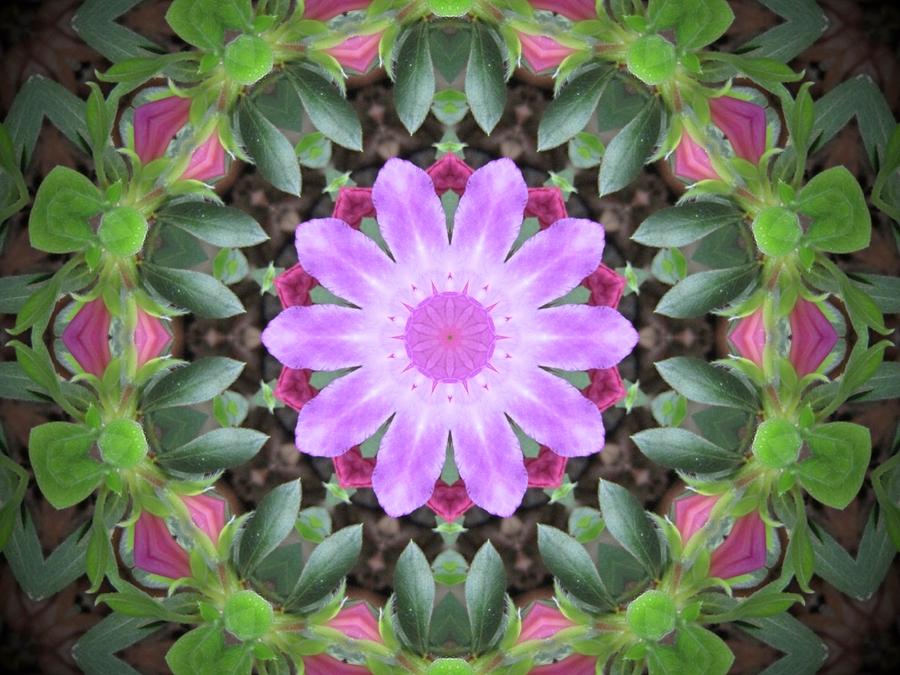 Mandala in Pink 1D Digital Art by Beth Major - Fine Art America