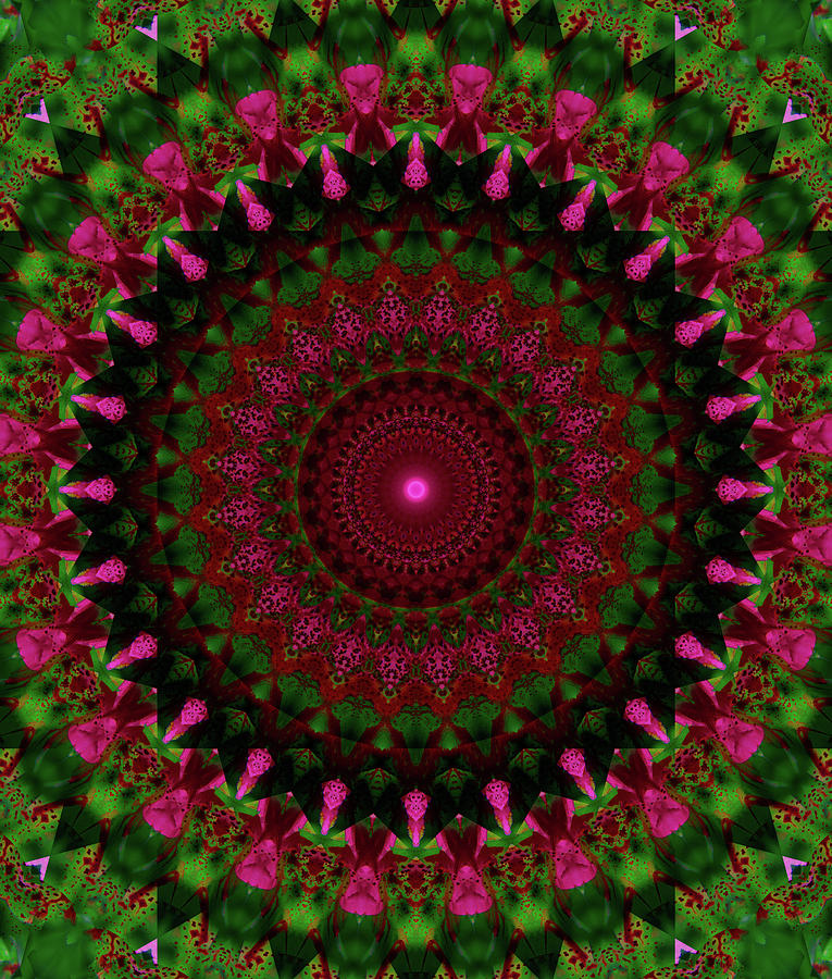 Mandala in pink red and green tones Digital Art by Jaroslaw Blaminsky