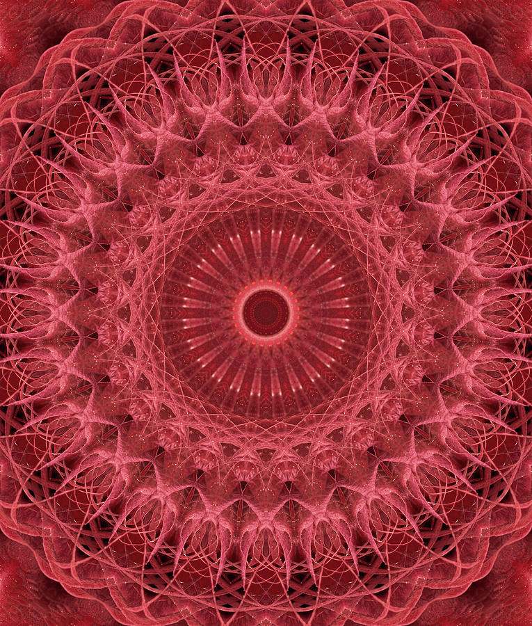Mandala in red and pink colors Photograph by Jaroslaw Blaminsky