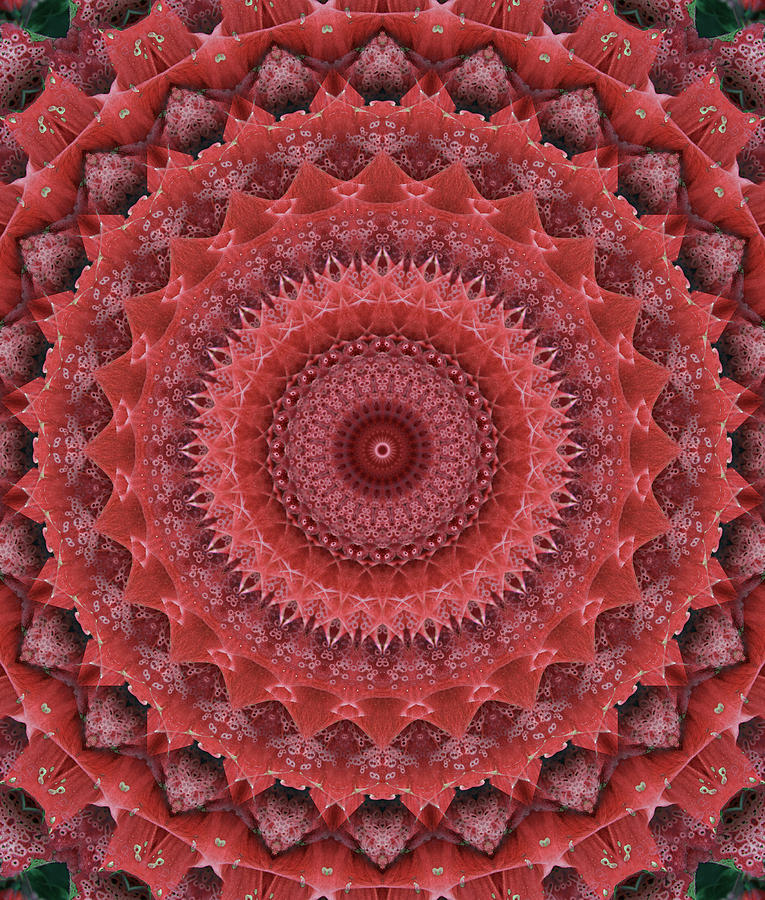 Mandala in reds Digital Art by Jaroslaw Blaminsky