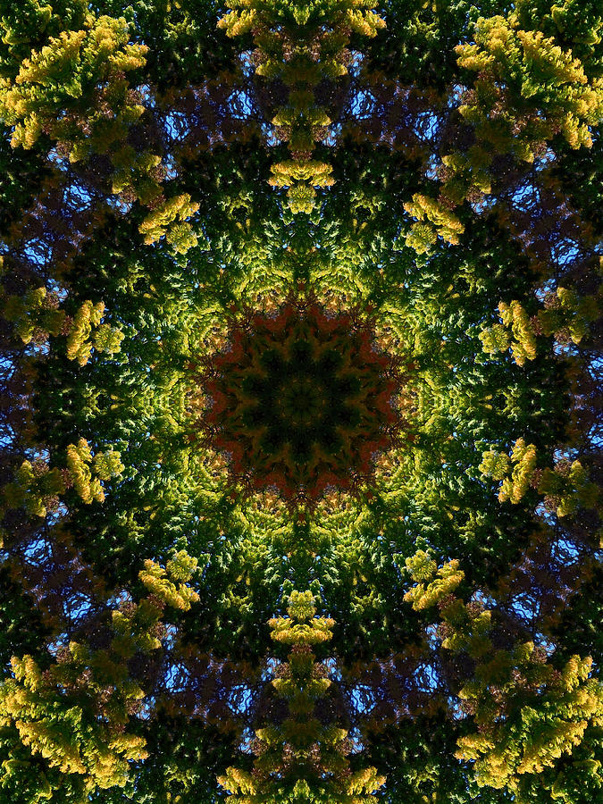 Mandala Kaleidoscopic Design 11 Painting by Jeelan Clark