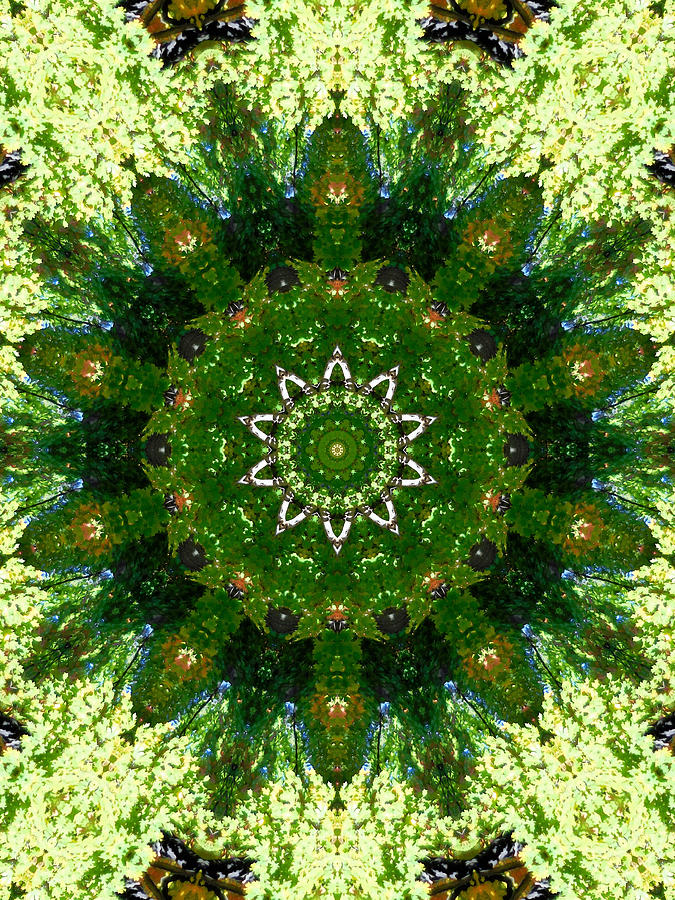 Mandala Kaleidoscopic Design 13 Painting by Jeelan Clark