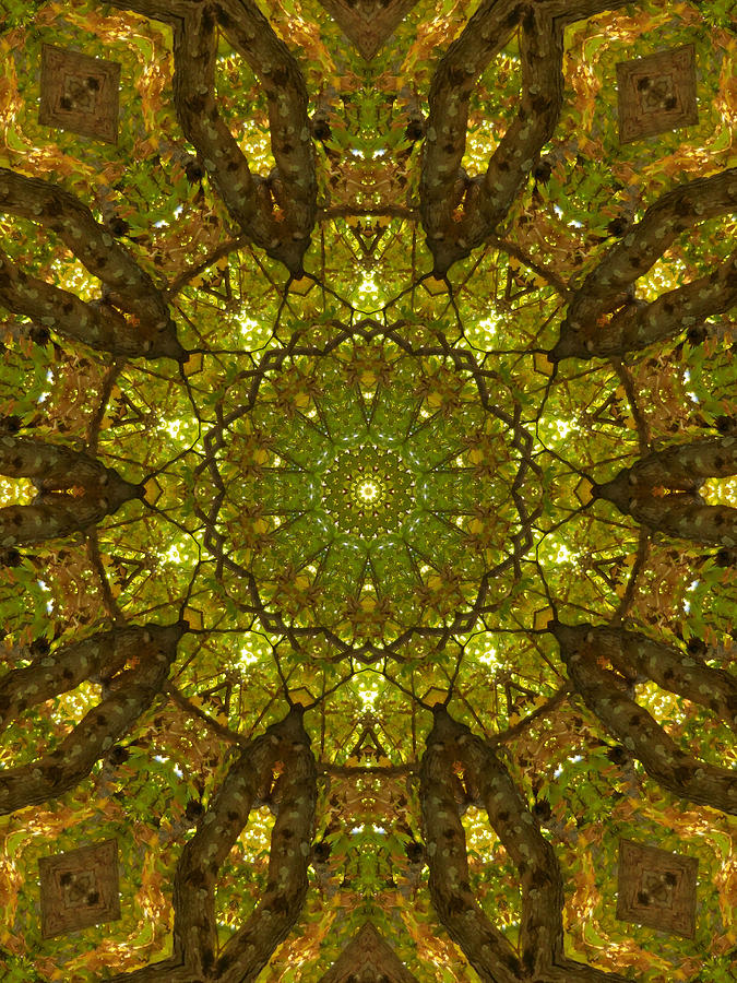 Mandala Kaleidoscopic Design 17 Painting by Jeelan Clark