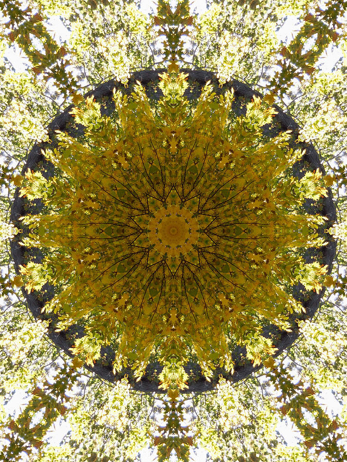 Mandala Kaleidoscopic Design 18 Painting by Jeelan Clark