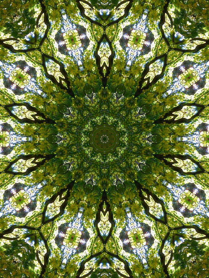 Mandala Kaleidoscopic Design 19 Painting by Jeelan Clark