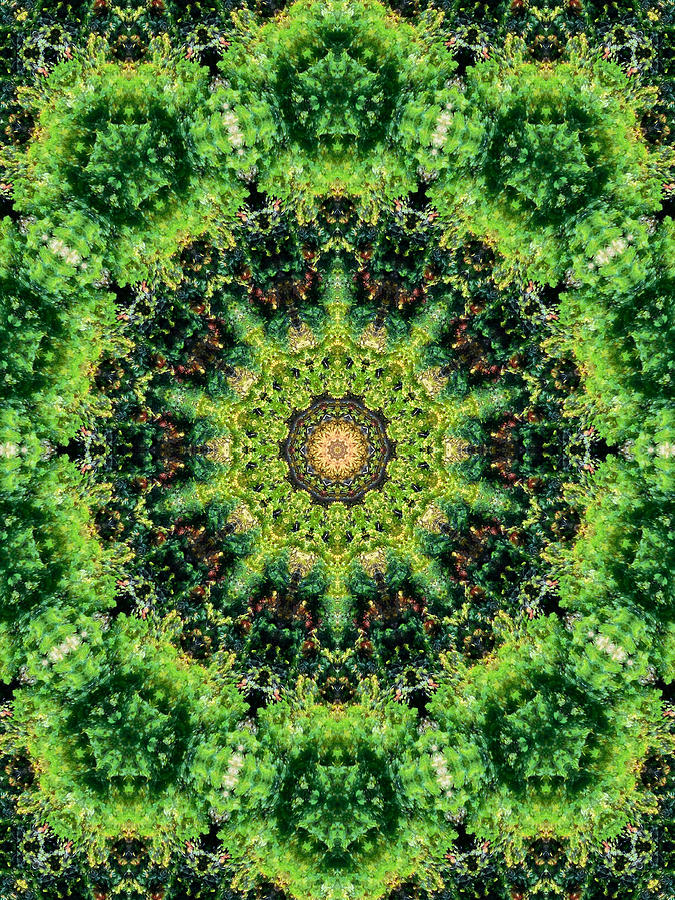 Mandala Kaleidoscopic Design 3 Painting by Jeelan Clark