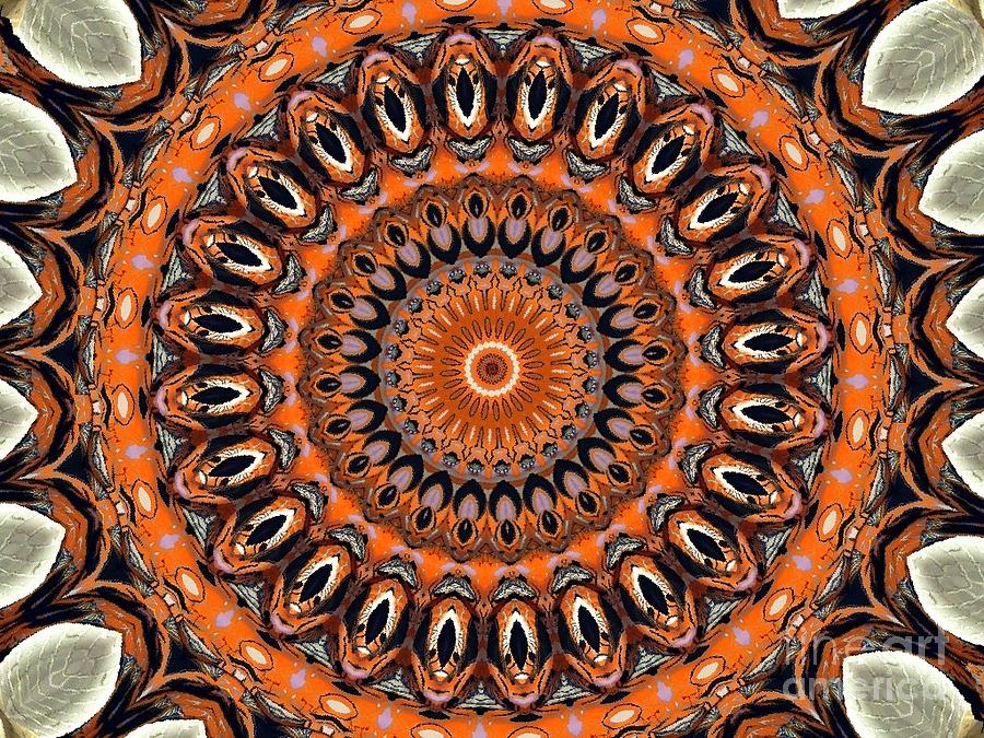Abstract Photograph - Mandala No 123 by Lene Pieters