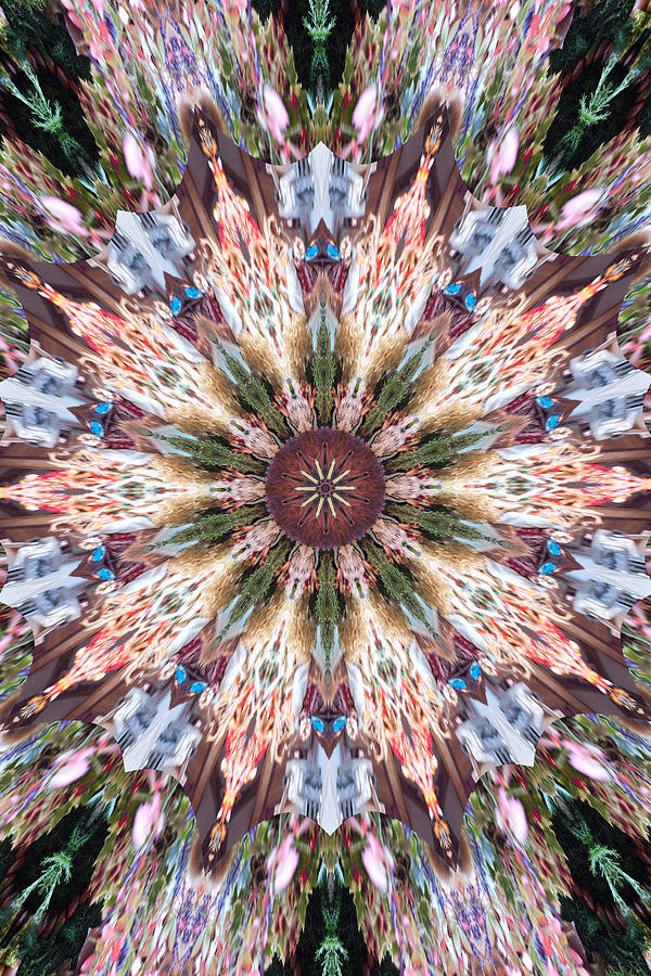 Mandala of Blossom by Wendy Le Ber Mandala of Blossom by Wendy Le Ber