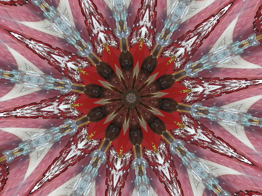 Mandala of glass by Wendy Le Ber Mandala of glass by Wendy Le Ber
