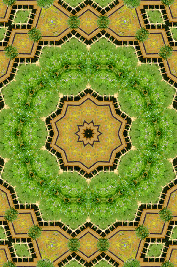 Nature Painting - Mandala - pattern 17 by Jeelan Clark