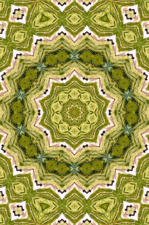 Mandala - pattern 18 Painting by Jeelan Clark