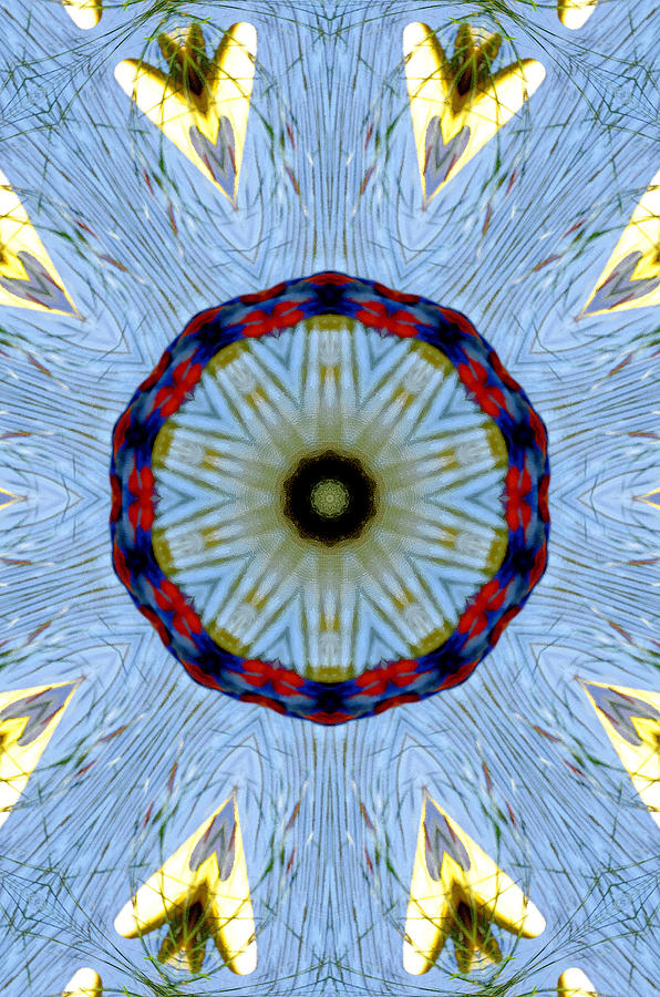 Mandala - pattern 21 Painting by Jeelan Clark