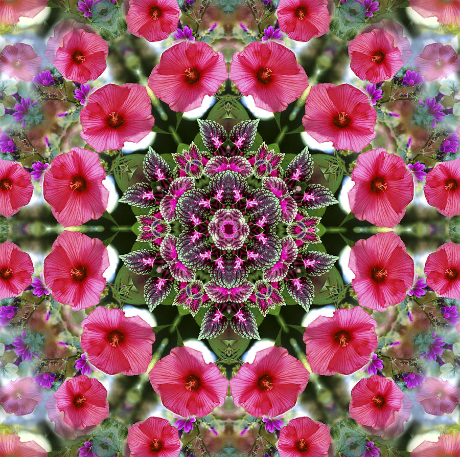 Mandala Pink Patron Digital Art by Nancy Griswold