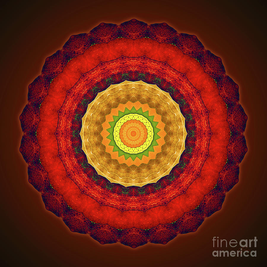 Mandala - Red Yellow Balance Digital Art by Gabriele Pomykaj