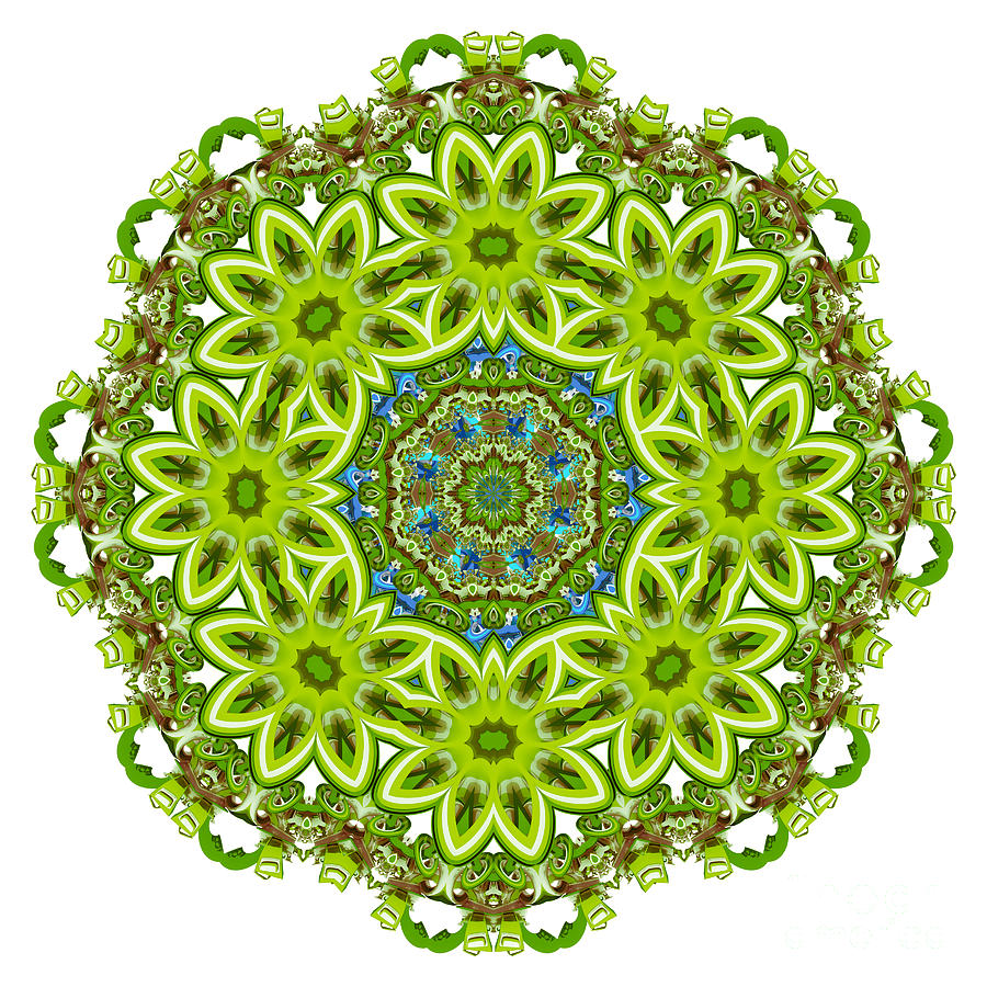 Mandala - Revival-2201-01gb Digital Art by Variance Collections