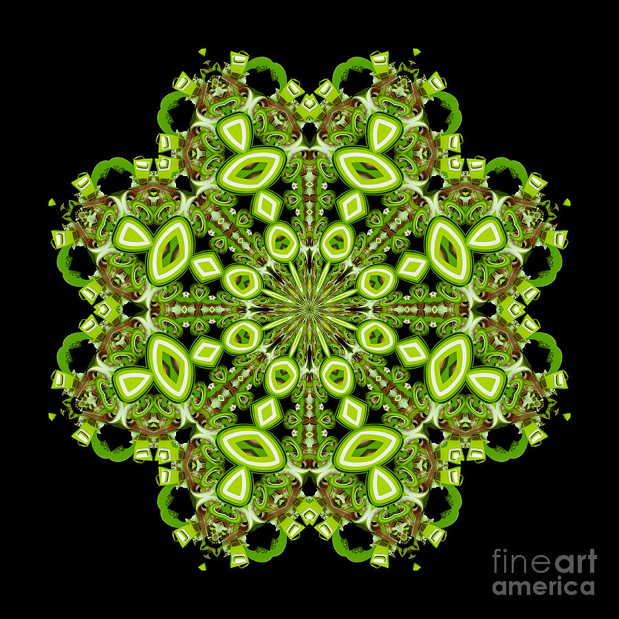 mandala - Revival-2201- 02gb Digital Art by Variance Collections