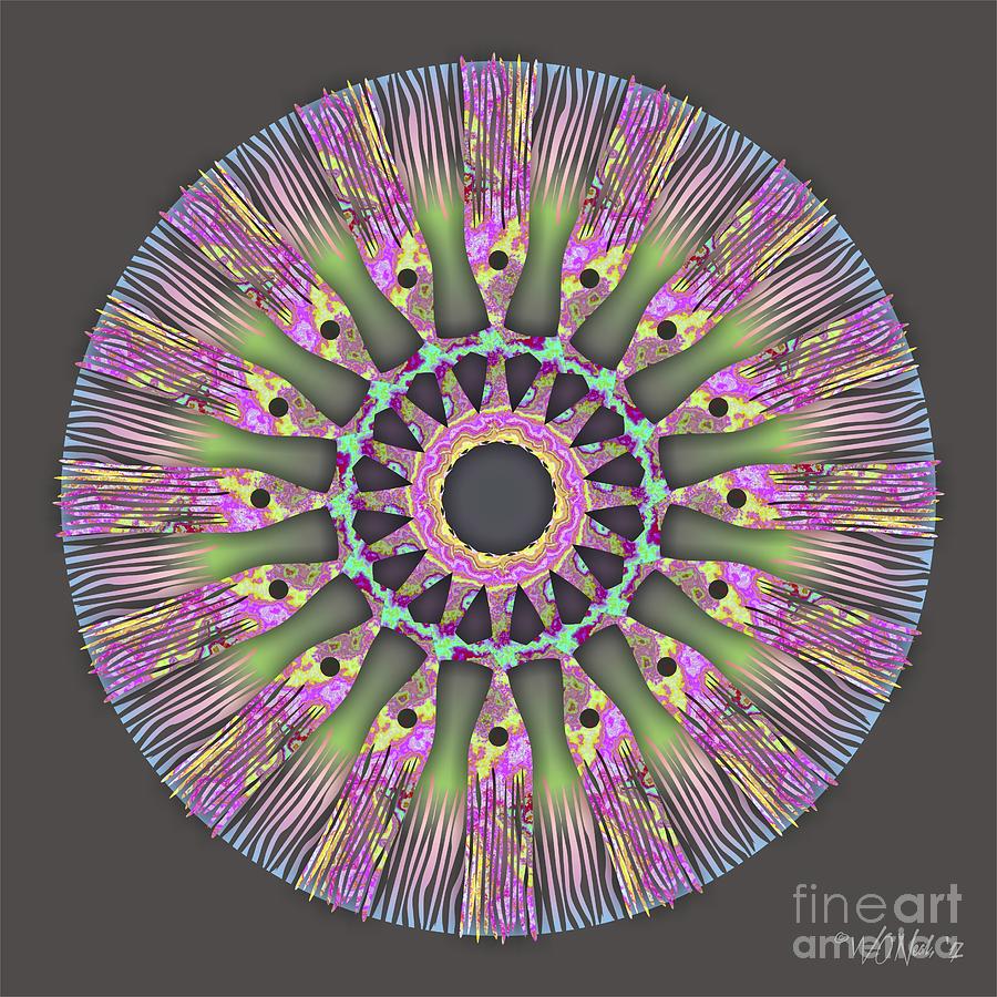 Pattern Digital Art - Mandala Series 3-1 by Walter Neal