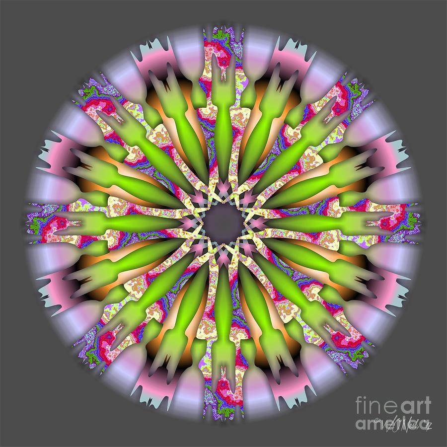 Pattern Digital Art - Mandala Series 2-3 by Walter Neal